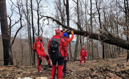 Maramureş: Bărbat căzut dintr-un copac, găsit fără viaţă de salvamontişti