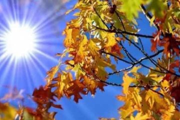 METEO | Cum va fi vremea în septembrie. Prognoza meteorologilor pentru prima lună de toamnă