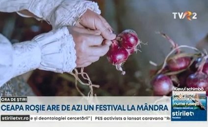 Ceapa roșie din Mândra, Brașov, are propriul festival. Localnicii au reușit să păstreze sămânța ca în vremurile de demult