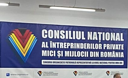 Consiliul Naţional al IMM-urilor: Suntem de acord cu mărirea salariului minim pe economie, cu trei condiţii