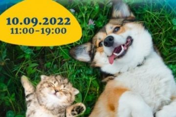 40 de câini și 20 de pisici își caută stăpân la Târgul de adopții din parcul bucureștean Herăstrău