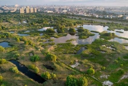 Weekend-uri cu teatru, activităţi şi tururi ghidate pentru copii în Parcul Natural Văcăreşti, în luna septembrie