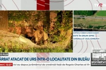 Un buzoian a fost atacat de urs și a ajuns, de urgență, pe masa de operație. I-a fost secționată o arteră femurală