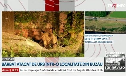 Un buzoian a fost atacat de urs și a ajuns, de urgență, pe masa de operație. I-a fost secționată o arteră femurală