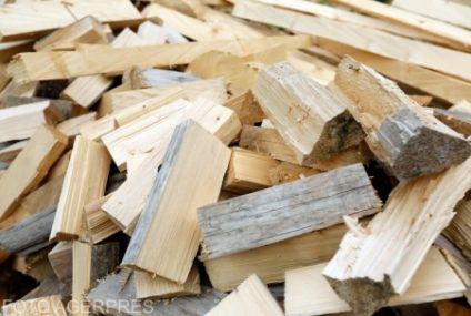 Va fi plafonat prețul lemnului și al produselor din lemn utilizate pentru încălzire. Exportul lemnului de foc, limitat temporar. Ministerul Mediului pregătește un act normativ după discuțiile din coaliție
