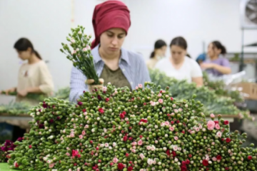 Turcia trimite 13 tone de flori în Marea Britanie pentru funeraliile Reginei