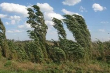 Cod portocaliu de vânt puternic în zonele montane din 8 judeţe, până la ora 16.00