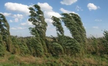 Cod portocaliu de vânt puternic în zonele montane din 8 judeţe, până la ora 16.00