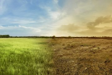 Scenarii climatice pentru România anului 2030 vor fi incluse într-un raport ce va fi lansat în decembrie și a cărui dezbatere abia a început