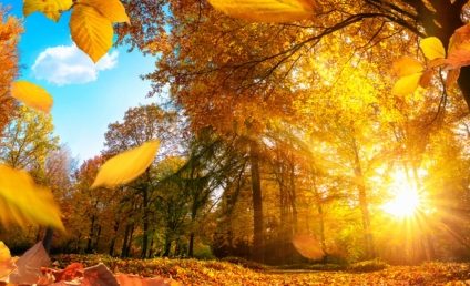 METEO | Zile însorite, nopţi reci şi brumă în luna octombrie, dar şi temperaturi ”estivale”