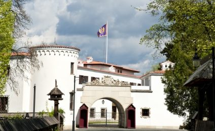 Campioni la nataţie, felicitați de Familia Regală, la Palatul Elisabeta. David Popovici: Avem o misiune simplă, aceea de a îndemna cât mai multă lume către 