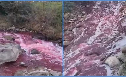 Bistrița-Năsăud: Apa unui râu a devenit roșie | Nimeni nu știe din ce cauză. Reacția Apele Române Someș-Tisa