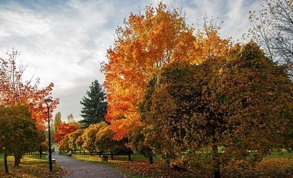 Cum va fi vremea până la finalul lunii octombrie