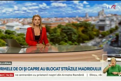 Turme de oi și capre au blocat centrul Madridului înainte de a începe iernatul