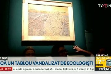 O nouă încercare de vandalizare a unui tablou. Activiștii de mediu au aruncat supă de legume pe lucrarea „Semănătorul”, a lui Vincent Van Gogh