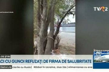 Birocrația bate omenia: Refugiați ucraineni au strâns gunoiul de pe o fostă plajă din Brăila, dar societatea de salubritate a refuzat să ridice sacii cu deșeuri