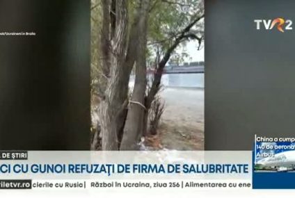 Birocrația bate omenia: Refugiați ucraineni au strâns gunoiul de pe o fostă plajă din Brăila, dar societatea de salubritate a refuzat să ridice sacii cu deșeuri