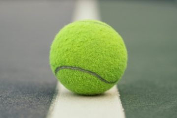 Tenis: Ana Bogdan – Dalma Galfi, primul meci al întâlnirii cu Ungaria, din Billie Jean King Cup