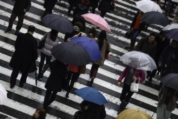 Prognoza meteo: Temperaturile scad uşor de la jumătatea acestei săptămâni, iar probabilitatea de ploi se menţine ridicată