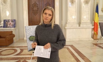 Alina Gorghiu: Votul din Consiliul JAI, o nedreptate la adresa României