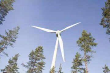 Agenția pentru Mediu: Energia regenerabilă ar urma să reprezinte 46% din consumul de energie electrică anul acesta în Germania