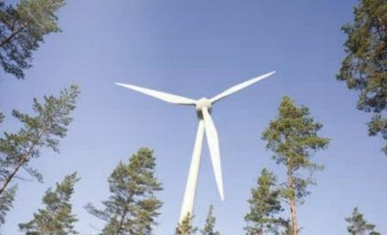Agenția pentru Mediu: Energia regenerabilă ar urma să reprezinte 46% din consumul de energie electrică anul acesta în Germania