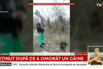 Tânăr maramureșean acuzat că a omorât un câine cu bătăia. Videoclipul a ajuns pe rețelele de socializare