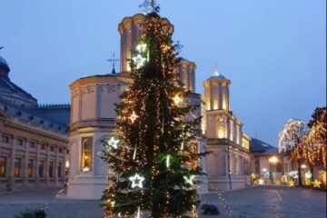 Mănăstirea Putna a donat un brad de 12 metri pentru esplanada Catedralei Patriarhale