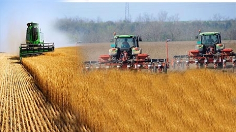 anul-agricol-2022/2023-sta-sub-semnul-hazardului,-avertizeaza-presedintele-asociatiei-fermierilor-din-romania