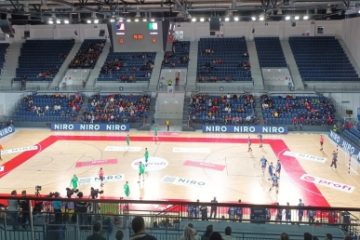 Handbal masculin: România s-a clasat pe locul 3 la Trofeul Carpaţi, după 33-25 cu Algeria