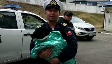 Un câine rămas blocat mai multe zile pe stânci, salvat de pompieri şi membri ai marinei chiliene