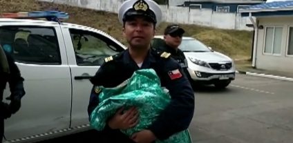 Un câine rămas blocat mai multe zile pe stânci, salvat de pompieri şi membri ai marinei chiliene