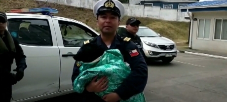 un-caine-ramas-blocat-mai-multe-zile-pe-stanci,-salvat-de-pompieri-si-membri-ai-marinei-chiliene