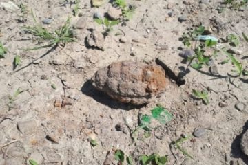 Grenadă găsită pe un gard într-un sat din Ilfov, dezamorsată de specialiştii pirotehnici de la SIAS