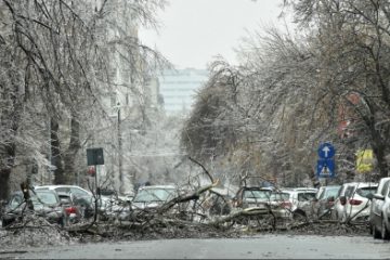 Ploile și vântul puternic au provocat pagube în 10 localități: copaci căzuți pe carosabil, mașini avariate, case și curți inundate