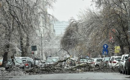 Ploile și vântul puternic au provocat pagube în 10 localități: copaci căzuți pe carosabil, mașini avariate, case și curți inundate