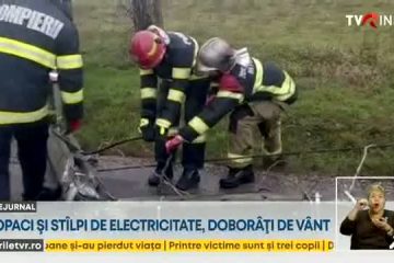 Vântul puternic a rupt mai mulți copaci și stâlpi de electricitate care au cazut pe carosabil și pe mașini