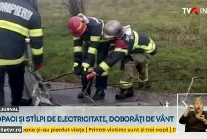 Vântul puternic a rupt mai mulți copaci și stâlpi de electricitate care au cazut pe carosabil și pe mașini