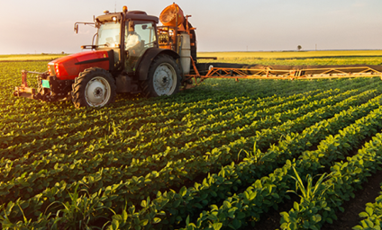 Președintele ASAS Valeriu Tabără: Interzicerea folosirii seminţelor tratate loveşte într-un sistem de progres în agricultură şi de siguranţă alimentară