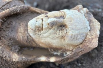 O statuie ”în mărime naturală” a lui Hercule, descoperită la Roma în timpul unor lucrări la sistemul de canalizare