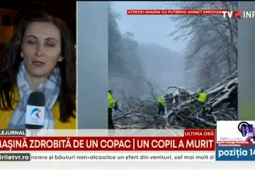 Un copil de 14 ani a murit după ce maşina în care se afla împreună cu părinţii a fost strivită de un copac rupt de vânt în Caraş-Severin