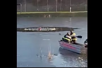 VIDEO Doi copii, salvați în ultima clipă din râul Olt. Gheaţa s-a spart, iar pompierii au acționat contracronometru