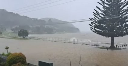 Guvernul Noii Zeelande a declarat stare de urgenţă din cauza furtunii devastatoare care afectează nordul țării