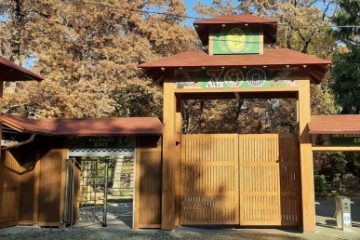 Grădina Zoologică din Târgu Mureş, închisă temporar vizitării după ce trei urşi au forţat gardul