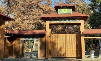 Grădina Zoologică din Târgu Mureş, închisă temporar vizitării după ce trei urşi au forţat gardul