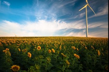 The Economist: Războiul și subvențiile au accelerat tranziția spre energia verde