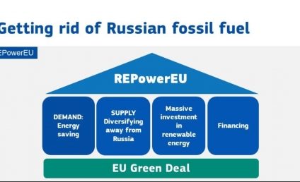 Parlamentul European a adoptat REPowerEU, un plan pentru reducerea dependenţei energetice a UE de Rusia şi accelerarea tranziţiei verzi