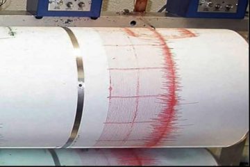 Un nou cutremur cu magnitudinea 4,2 s-a produs în această noapte în Gorj