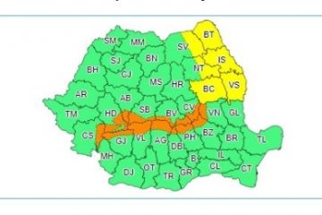 Cod galben de vânt în Moldova și în Carpații Meridionali și de Curbură