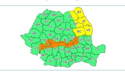 Cod galben de vânt în Moldova și în Carpații Meridionali și de Curbură